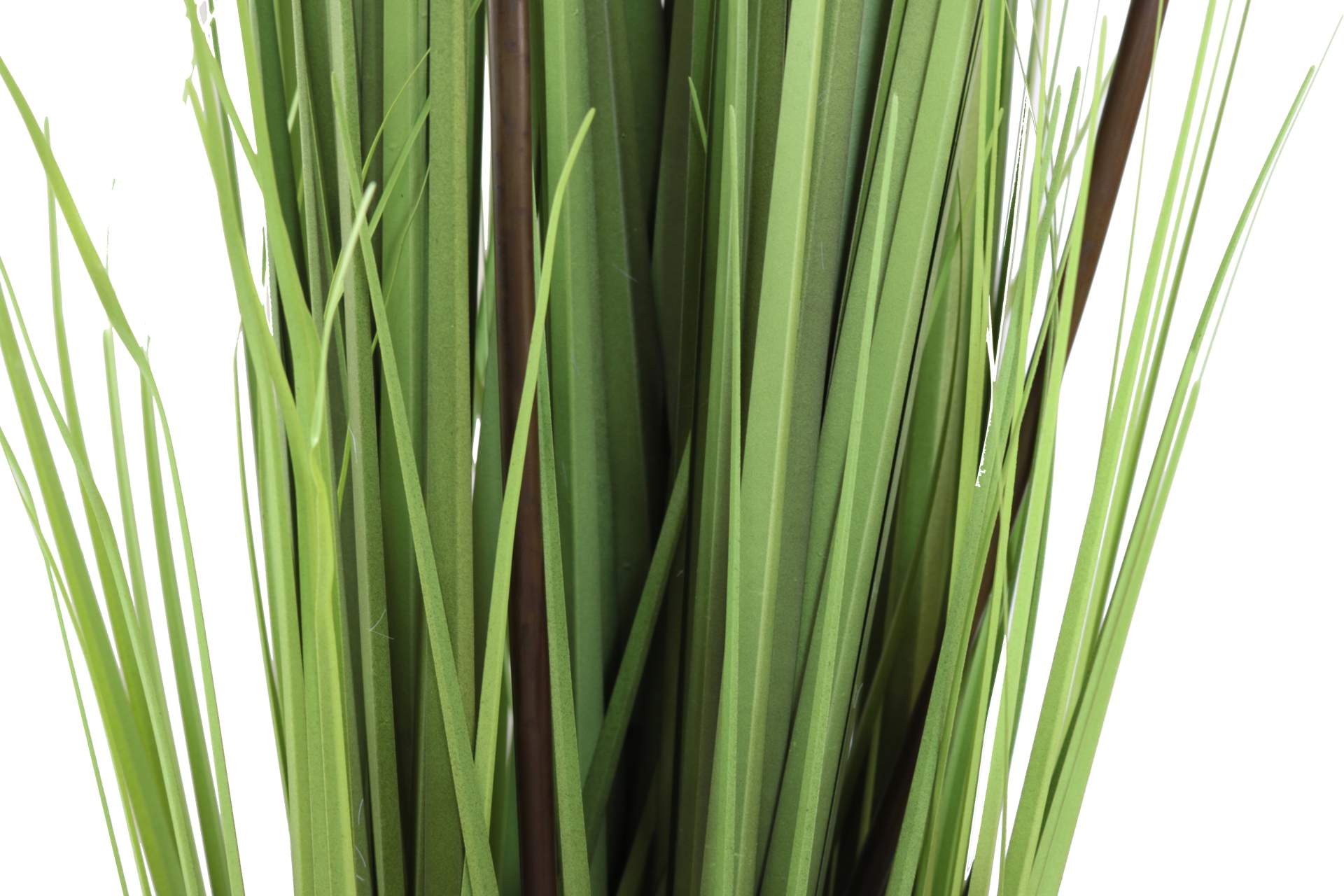Pampasgras Kunstpflanze Onlineshop | Deko mit Höhe Wohnen cm 75 Pflanze | | Artlands Dekoration Dekoration Übertopf |